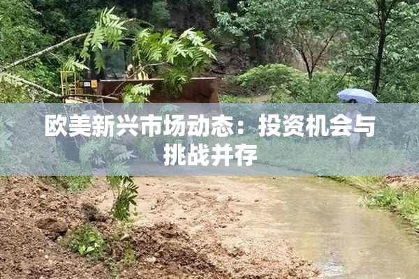 欧美新兴市场动态：投资机会与挑战并存