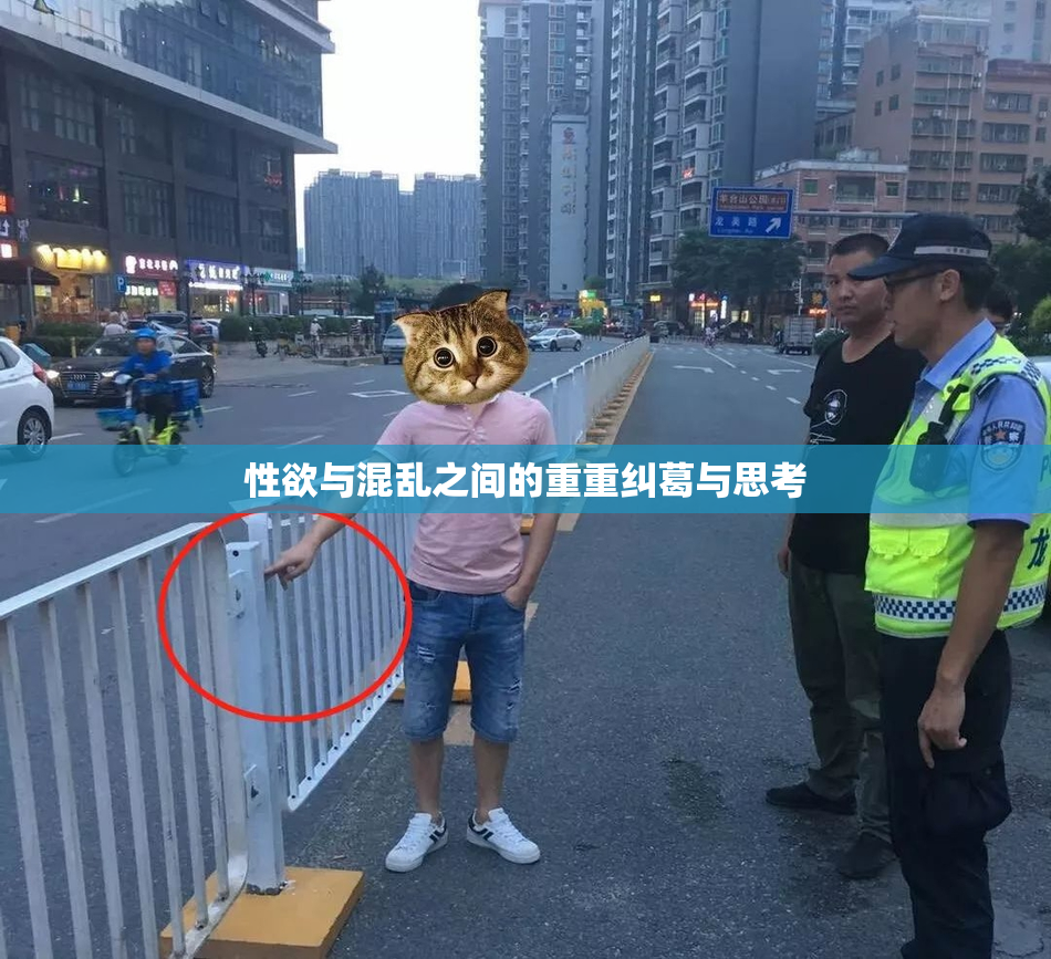 性欲与混乱之间的重重纠葛与思考