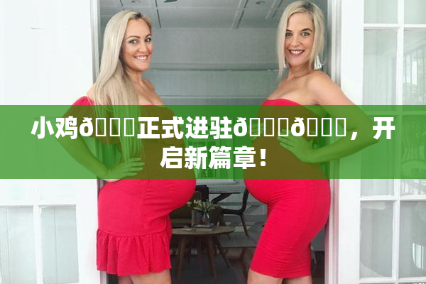小鸡🐔正式进驻🍑🔞，开启新篇章！