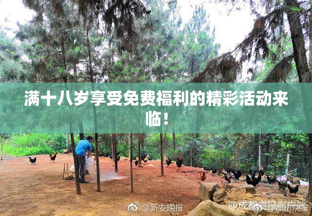 满十八岁享受免费福利的精彩活动来临！