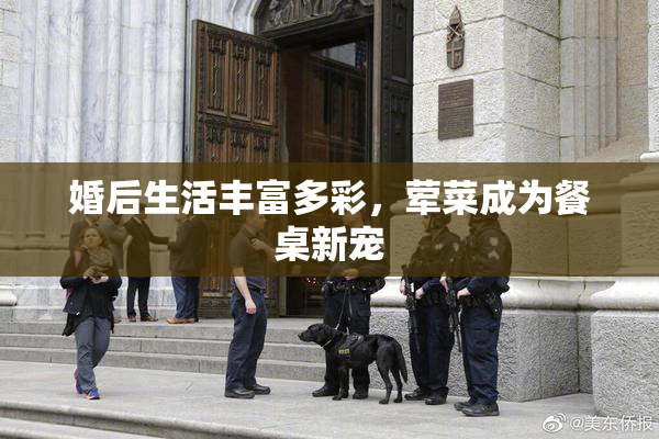 婚后生活丰富多彩，荤菜成为餐桌新宠