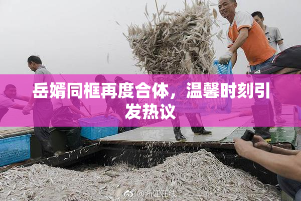 岳婿同框再度合体，温馨时刻引发热议