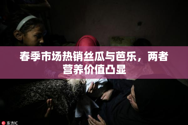 春季市场热销丝瓜与芭乐，两者营养价值凸显
