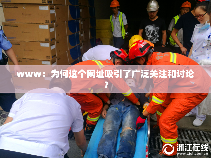 www：为何这个网址吸引了广泛关注和讨论？