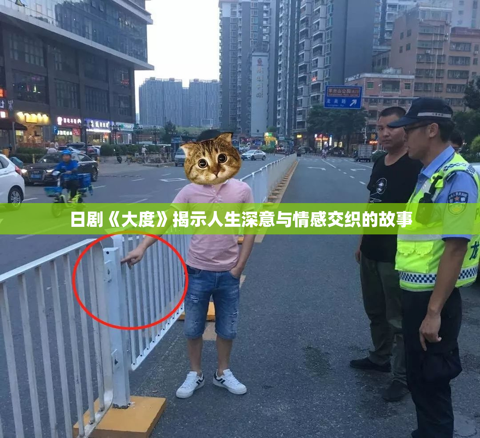 日剧《大度》揭示人生深意与情感交织的故事