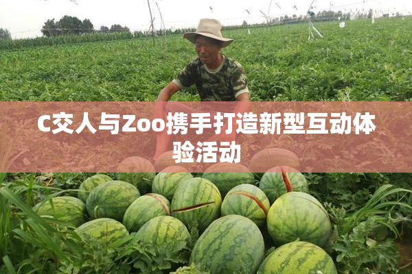C交人与Zoo携手打造新型互动体验活动