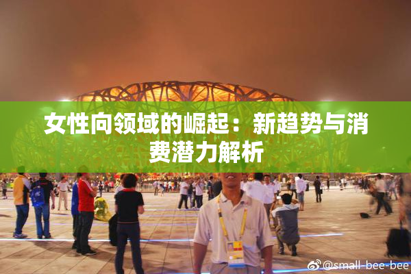 女性向领域的崛起：新趋势与消费潜力解析