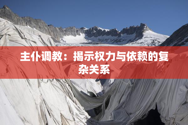 主仆调教：揭示权力与依赖的复杂关系