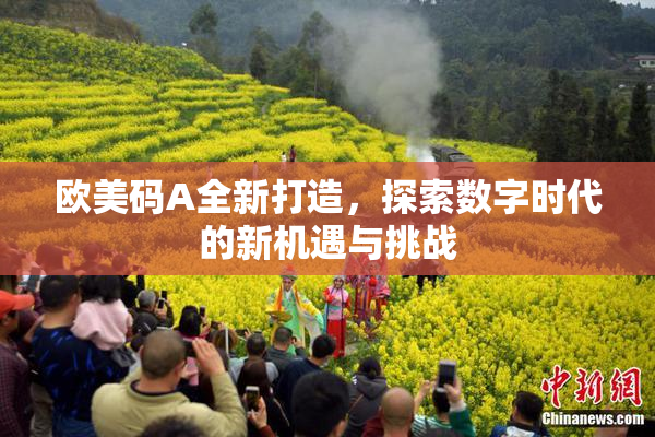 欧美码A全新打造，探索数字时代的新机遇与挑战