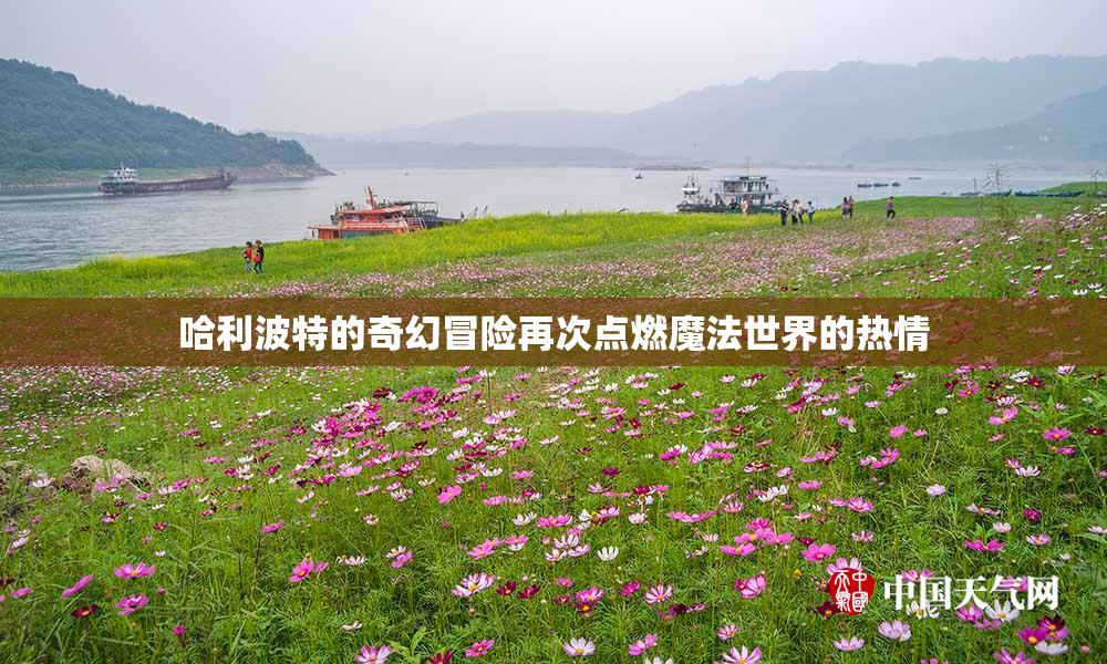 哈利波特的奇幻冒险再次点燃魔法世界的热情