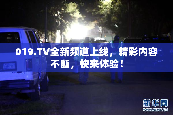 019.TV全新频道上线，精彩内容不断，快来体验！