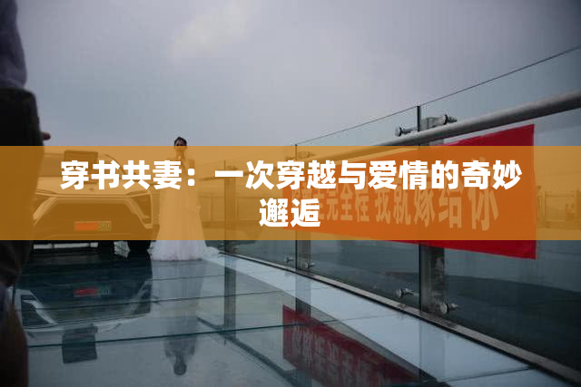 穿书共妻：一次穿越与爱情的奇妙邂逅