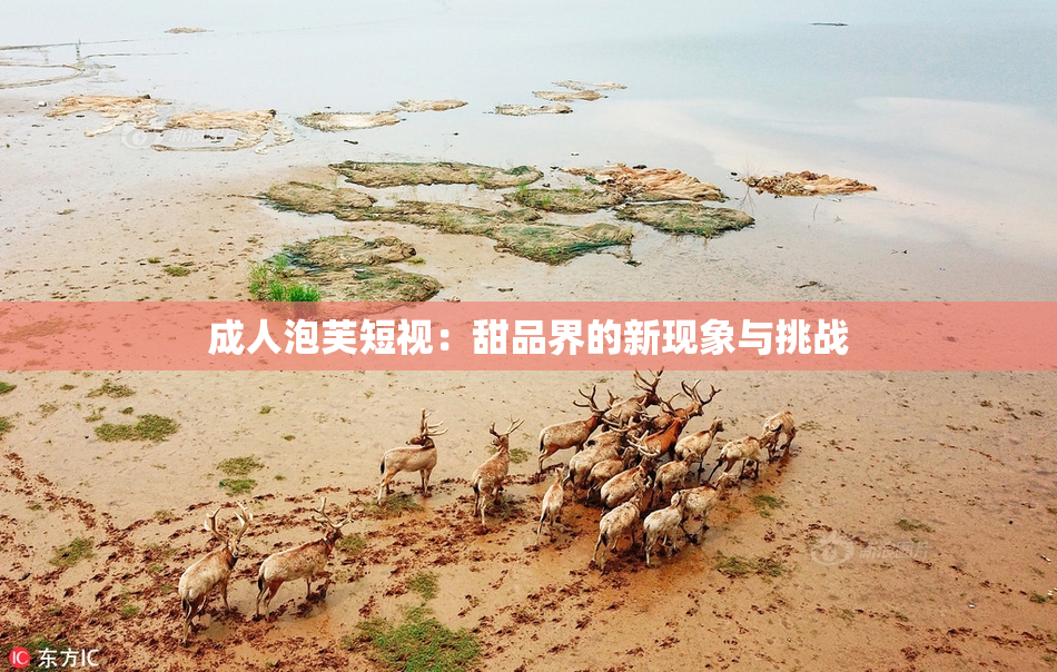 成人泡芙短视：甜品界的新现象与挑战