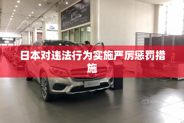 日本对违法行为实施严厉惩罚措施