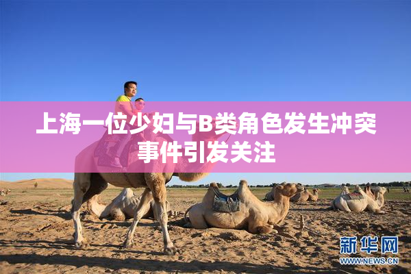 上海一位少妇与B类角色发生冲突事件引发关注