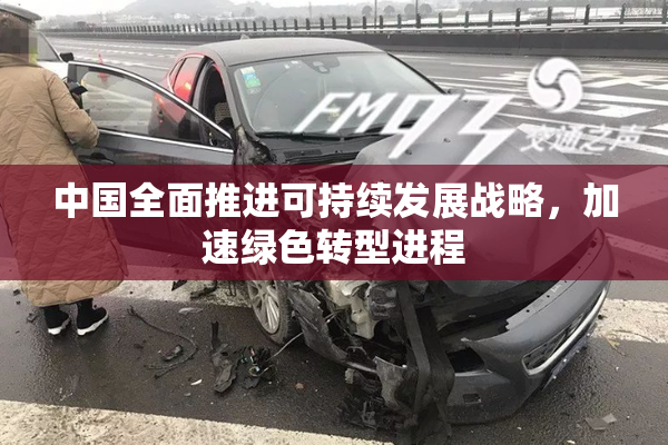 中国全面推进可持续发展战略，加速绿色转型进程