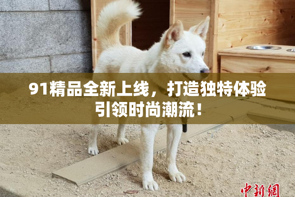 91精品全新上线，打造独特体验引领时尚潮流！