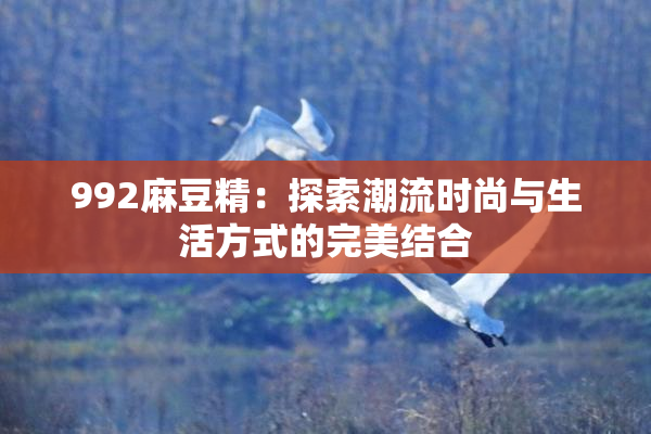 992麻豆精：探索潮流时尚与生活方式的完美结合