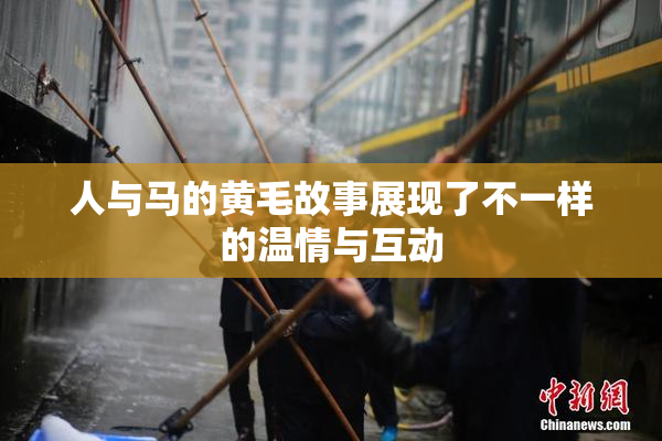 人与马的黄毛故事展现了不一样的温情与互动