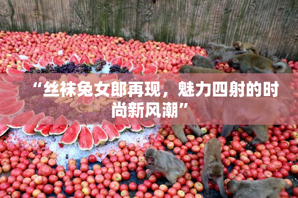 “丝袜兔女郎再现，魅力四射的时尚新风潮”