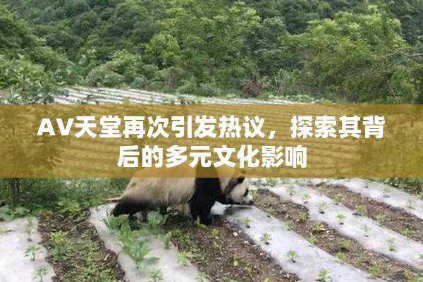 AV天堂再次引发热议，探索其背后的多元文化影响