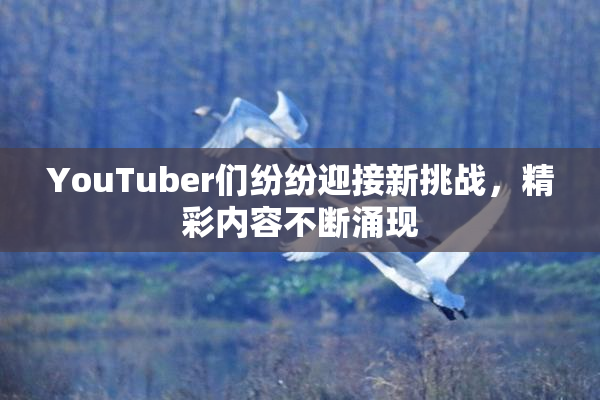 YouTuber们纷纷迎接新挑战，精彩内容不断涌现