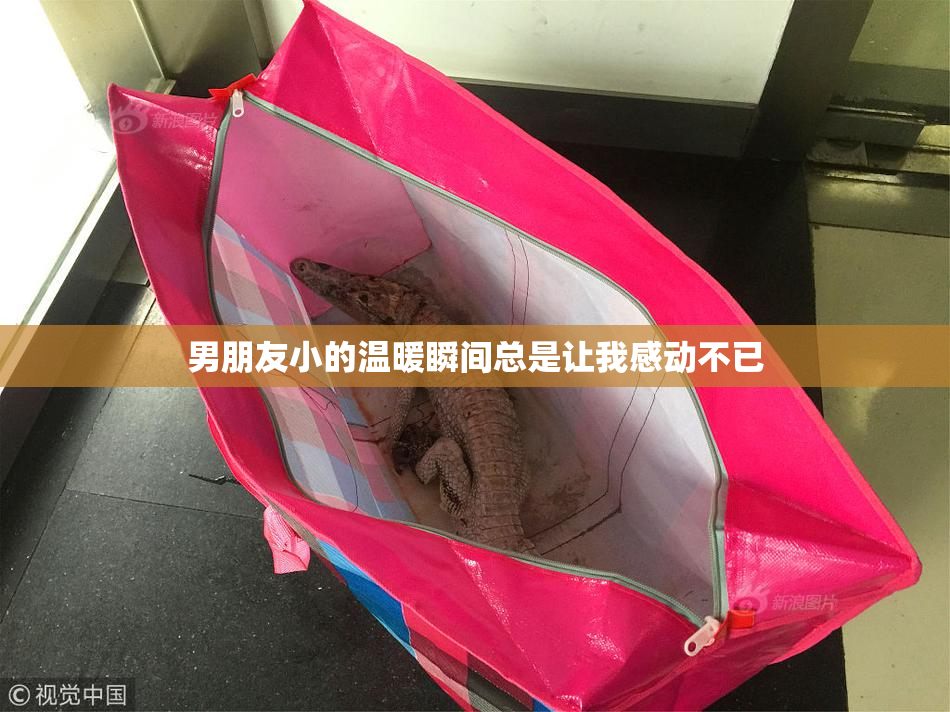 男朋友小的温暖瞬间总是让我感动不已