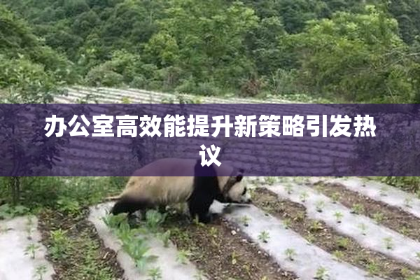 办公室高效能提升新策略引发热议
