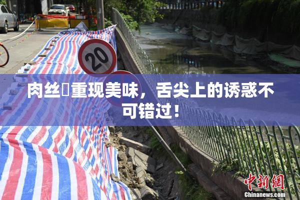 肉丝祙重现美味，舌尖上的诱惑不可错过！