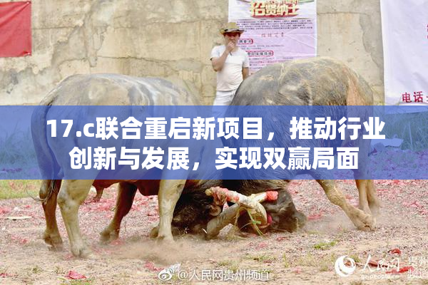 17.c联合重启新项目，推动行业创新与发展，实现双赢局面
