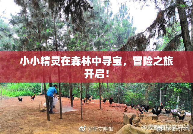 小小精灵在森林中寻宝，冒险之旅开启！