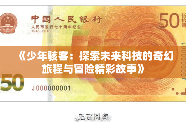 《少年骇客：探索未来科技的奇幻旅程与冒险精彩故事》