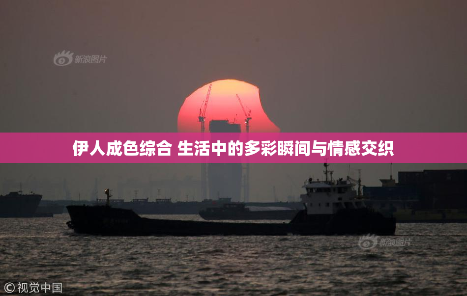 伊人成色综合 生活中的多彩瞬间与情感交织