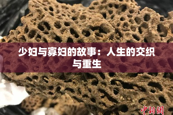 少妇与寡妇的故事：人生的交织与重生
