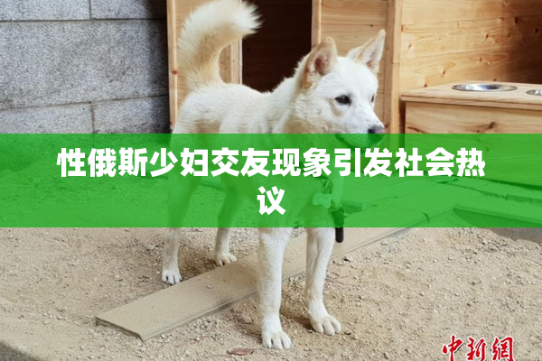 性俄斯少妇交友现象引发社会热议