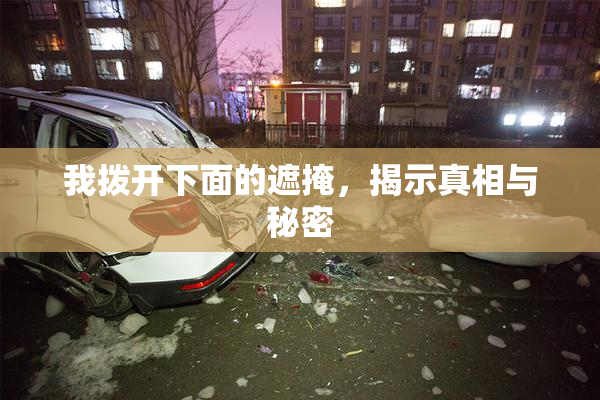 我拨开下面的遮掩，揭示真相与秘密