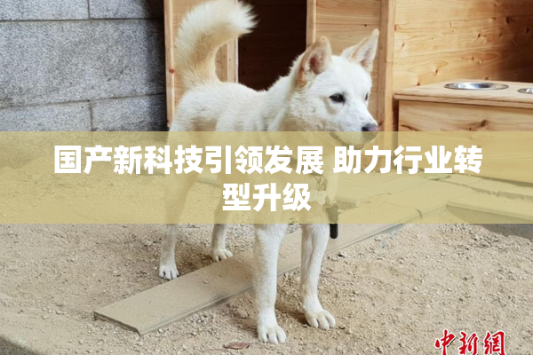 国产新科技引领发展 助力行业转型升级