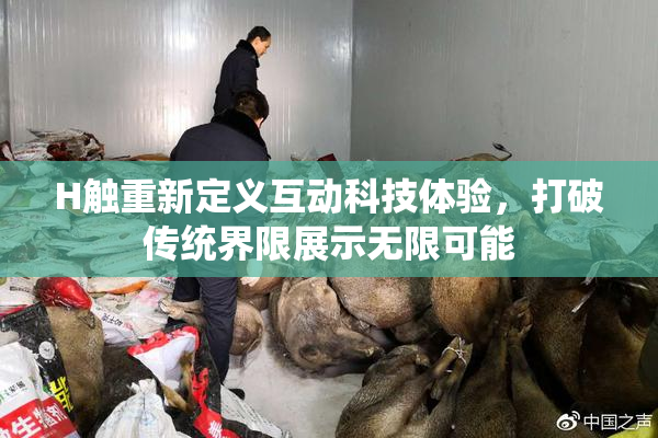 H触重新定义互动科技体验，打破传统界限展示无限可能