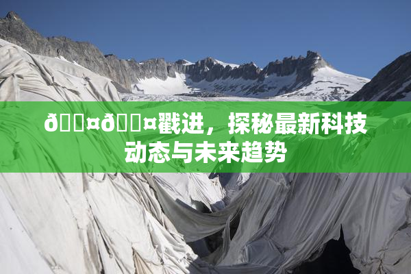🐤🐤戳进，探秘最新科技动态与未来趋势