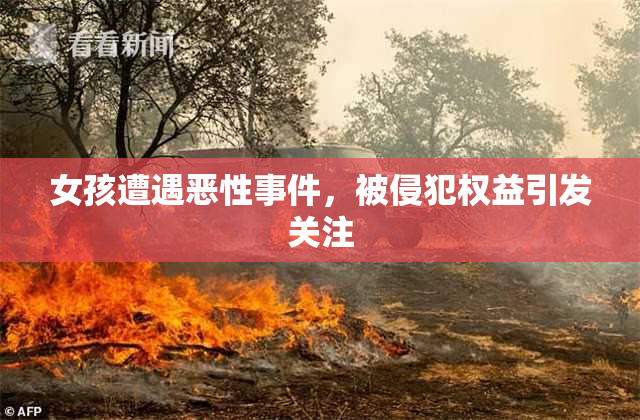 女孩遭遇恶性事件，被侵犯权益引发关注