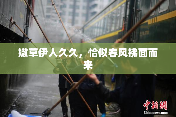嫩草伊人久久，恰似春风拂面而来