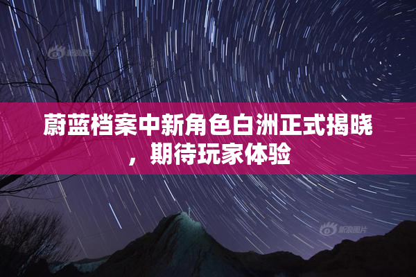 蔚蓝档案中新角色白洲正式揭晓，期待玩家体验