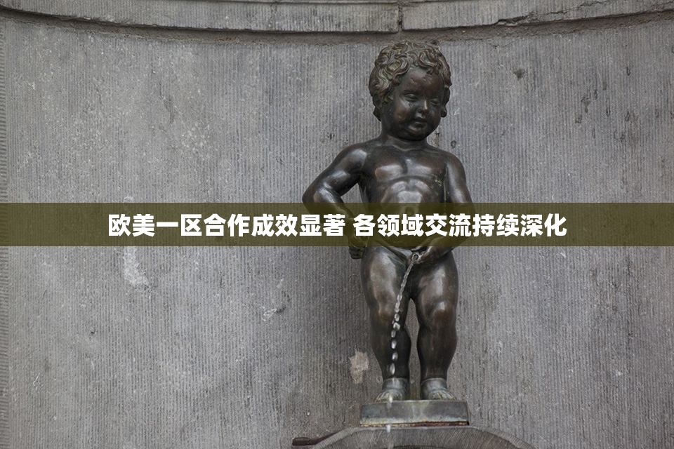 欧美一区合作成效显著 各领域交流持续深化