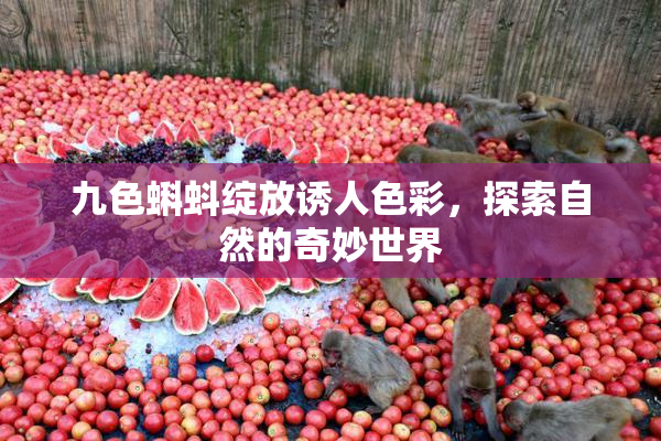 九色蝌蚪绽放诱人色彩，探索自然的奇妙世界