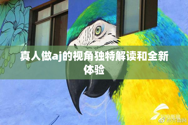 真人做aj的视角独特解读和全新体验