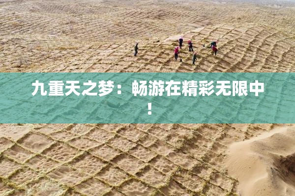 九重天之梦：畅游在精彩无限中！