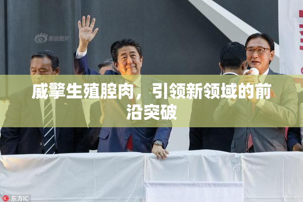 威擎生殖腔肉，引领新领域的前沿突破