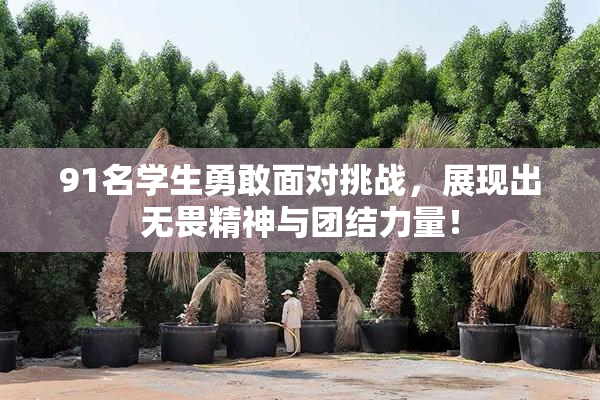 91名学生勇敢面对挑战，展现出无畏精神与团结力量！