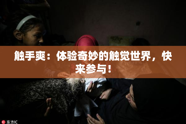 触手爽：体验奇妙的触觉世界，快来参与！