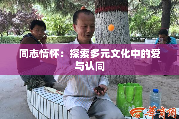 同志情怀：探索多元文化中的爱与认同